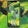 糖心Tx020小欣奈全站版